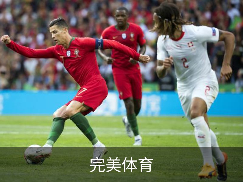 完美体育介绍